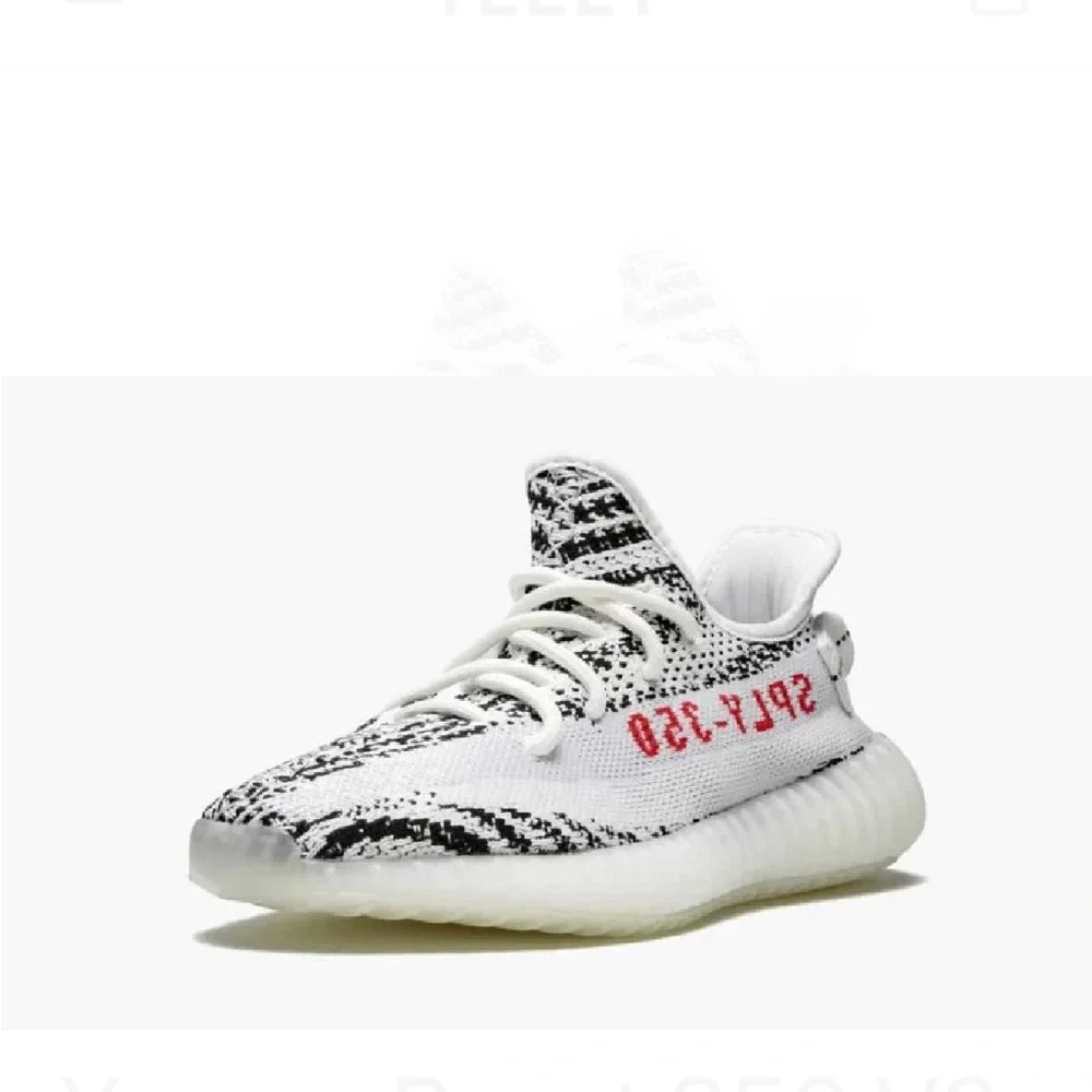 Yeezy - Picture 4 of 5